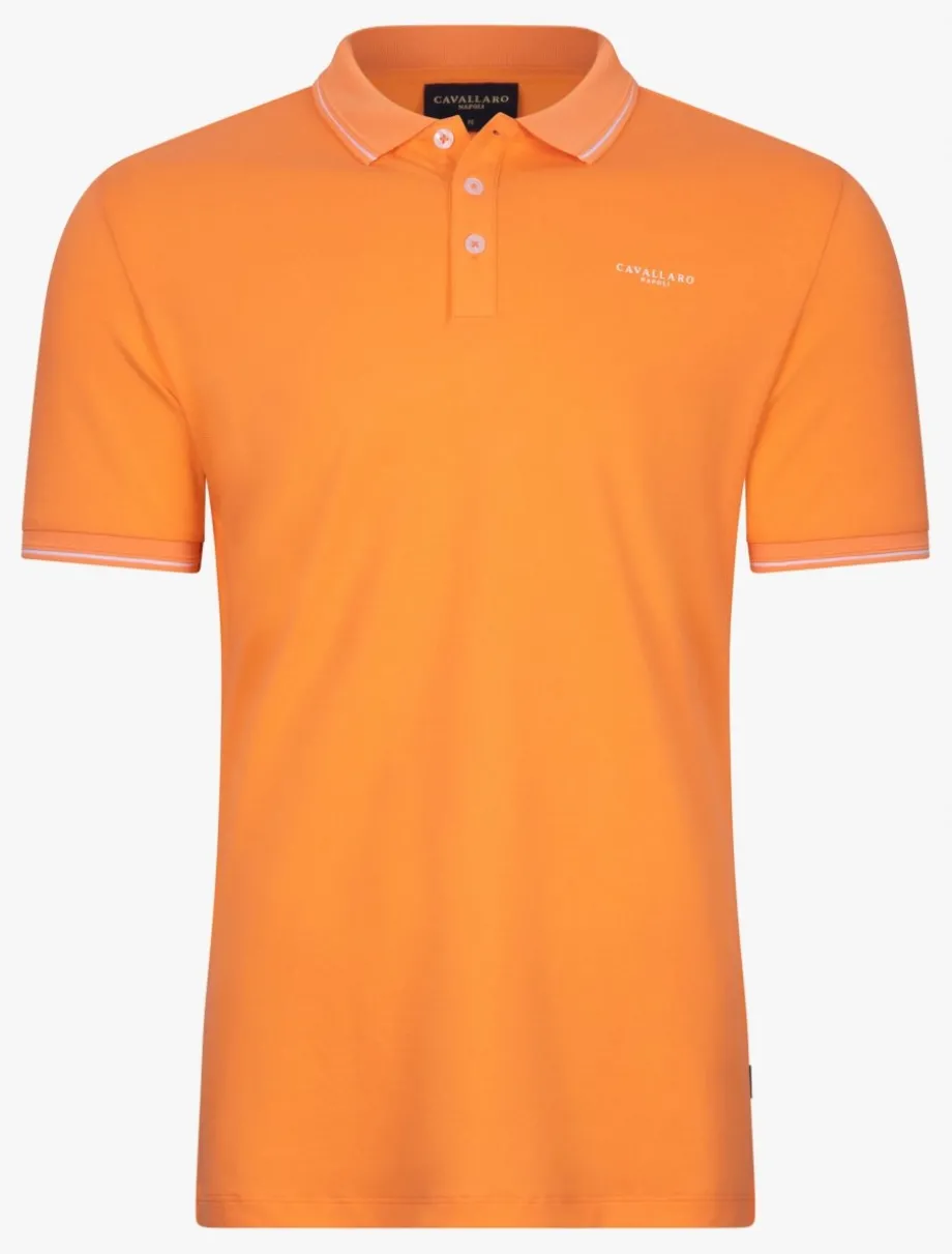 Andrio Polo