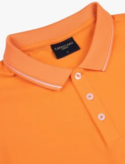 Andrio Polo