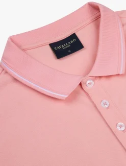 Andrio Polo