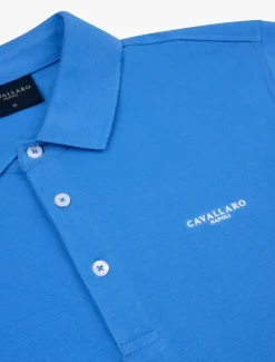Cosimo Polo