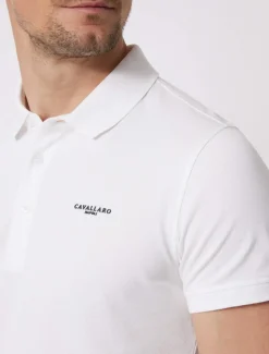 Cosimo Polo