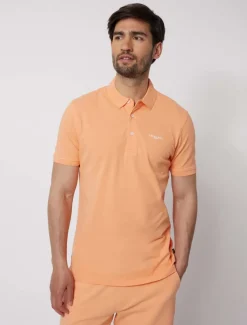 Cosimo Polo