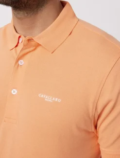 Cosimo Polo