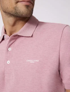 Damiano Polo