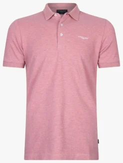 Damiano Polo