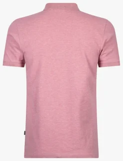 Damiano Polo