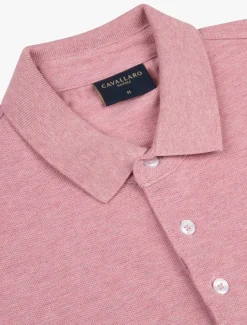 Damiano Polo