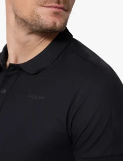 Sabini Polo