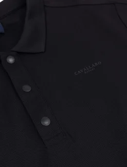 Sabini Polo