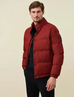 Tanino Jas