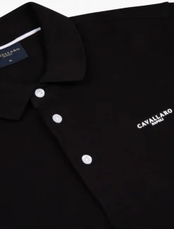 The Polo